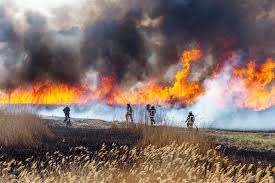 Twins journey to the middle east to discover their family history and fulfill. Por Que Los Incendios Forestales Son Mas Devastadores Fundacion Aquae