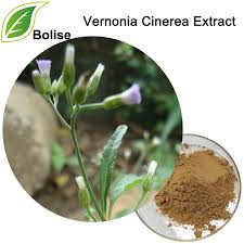 Image result for Vernonia cinerea