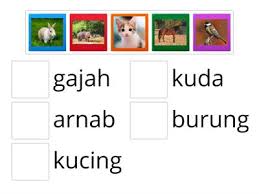 We did not find results for: Padankan Gambar Haiwan Kesayangan Sumber Pengajaran