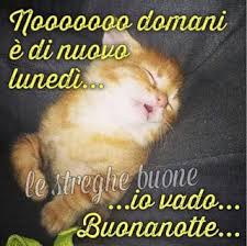 Buonanotte A Tutti Facciabuchini A Domani Chiacchiera Pubblicata Da Dome973 Facciabuco Com Le immagini più belle per augurare una buon lunedì le trovi qui! domani chiacchiera pubblicata