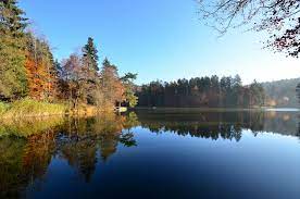 0 ответов 0 ретвитов 0 отметок «нравится». Ebnisee Foto Bild Landschaft Bach Fluss See See Teich Tumpel Bilder Auf Fotocommunity