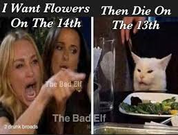 Pin By Lisa Snodgrass On Humor Laughing So Hard Funny Memes Cats