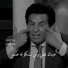 Ali Alito (alialitto2000)