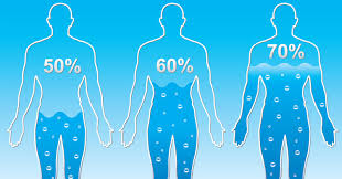 Keep the bloodstream liquid enough to the amount of fluid your body needs each day depends on several factors, such as your gender, age, how active you are, whether you're pregnant. This Is How Much Water You Should Drink According To Your Weight David Avocado Wolfe