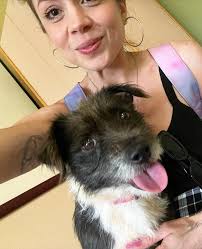 We adopted a dog while we were in Hawaii last week! Her name is Lucy, and  she came from the @kauaihumanesociety. She's already in love with all of  her new brothers and