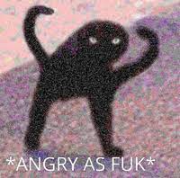 Iphone xs max iphone x / xs iphone 6s+/7+/8+ iphone 6/6s/7/8. Cursed Cat Image Gallery List View Know Your Meme