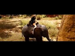 Black Desert Elephant Quest Guide Youtube