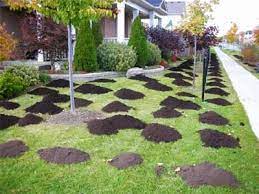 A level, even lawn, with no bumps or depressions, is very important to homeowners as it presents a surface which is much more usable to walk. Compost Versus Sand Topdressing For Lawn Leveling