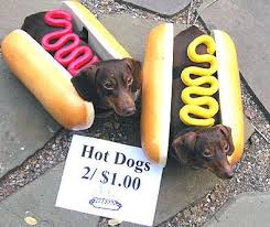 Caminha Para Cachorro Em Formato De Hot Dog Pin Em Animais Fofos