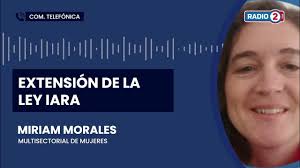 La Multisectorial de Mujeres analizó la extensión de la Ley Iara, aprobada  en Diputados