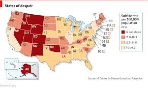 Résultat de recherche d'images pour "usa suicide rates graph xx century"