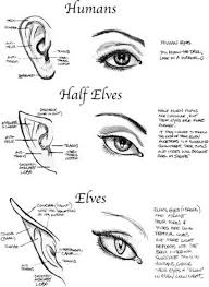 Types Of Ears And Eyes Humans Half Elves Elves Text How To Draw Manga Anime Drawings Drawing Tips Drawing Tutorial