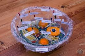Besides making these cells out of paper, there are so many other creative ways to do so. Animal Cell Model Researchparent Com