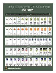 Dentro de los rangos militares de usa, los generales están en la parte superior de la. Grados De Tropa Y Sueldos En El Las Fuerzas Armadas De Estados Unidos