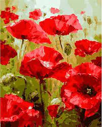 New Release Wooden Framed Or Not Diy Oil Painting By Numbers Paint By Number Kit Poppy Flower Painting Paint By Number Kits Canvas Painting For Beginners