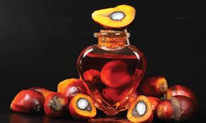 Palm oil is the most consumed oil in the world. Malaysiakini Palm Oil Is More Commonly Used Than You May Know