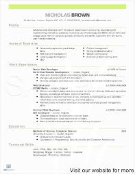 online resume template