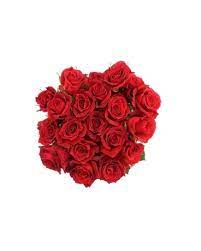 Fallon's flowers proudly serves raleigh and the surrounding areas. Market Wholesale Spray Roses In Raleigh Nc Fallon S Flowers