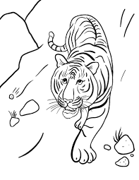 We have a big collection of coloring pages for kids, and it grows regularly. Free Tiger Coloring Page