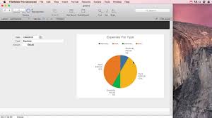 filemaker pro graphs and charts