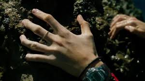 Based on the film's second trailer, the shallows is blake lively's the revenant. The Ring Of Nancy Adams Blake Lively In The Shallows Instinct Of Survival Spotern
