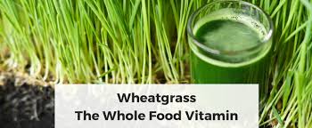 As a result, it benefits the functioning of body tissues as well as the brain by providing an optimal level of oxygenation. Why I Drink Wheatgrass And 3 Reasons It May Help You By Life Grip Medium