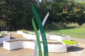 Best raised garden bed for sustainable gardening. Restauranteur Establishing Learning Gardens At Indy Schools