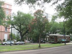 Check spelling or type a new query. St Charles Avenue Wikipedia