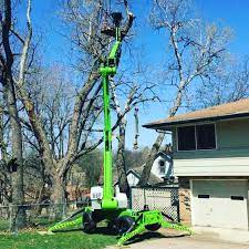 Pin On Tree Service In Des Moines Iowa