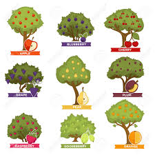 Similar soil requirements to other fruit trees: Orchard Trees And Bushes With Ripe Fruits With Names Royalty Free Cliparts Vectors And Stock Illustration Image 97551216