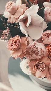 Flowers On Twitter Flower Iphone Wallpaper Flower Phone Wallpaper Flower Wallpaper