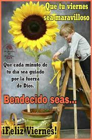 El día del padre es un momento muy especial para agasajarlos y honrarlos pro todo lo que hacen por nosotros. Que Tu Viernes Sea Maravilloso Que Cada Minuto De Tu Dia Sea Guiado Por La Fuerza De Di Feliz Viernes Buenos Dias Feliz Viernes Bendiciones Feliz Dia Viernes