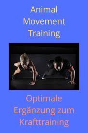 Animal Movement Krafttraining Kampfsportler Krafttraining Kampfsport