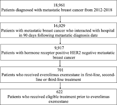 Many people with stage 4 breast cancer prefer a social community dedicated to metastatic breast cancer. Patterns Of Treatment With Everolimus Exemestane In Hormone Receptor Positive Her2 Negative Metastatic Breast Cancer In The Era Of Targeted Therapy Springerlink