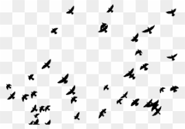 • edit multiple photos in the same style. Picsart Editing Pic Sticker Free Transparent Png Clipart Images Download