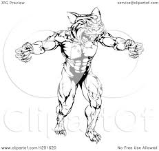 You can use our amazing online tool to color and edit the following white tiger coloring pages. Clipart Of A Black And White Muscular Fierce Tiger Man Attacking Royalty Free Vector Illustration By Atstockillustration 1291620
