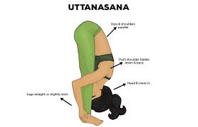 Uttanasana Alchetron The Free Social Encyclopedia