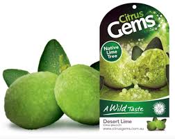Australian finger lime tree is one of the most fascinating discoveries in our fruit world. Citrus Gems Red Centre Lime Australian Blood Lime Citrus Men