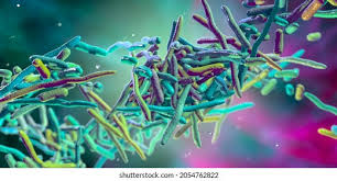 Image result for Erysipeloid