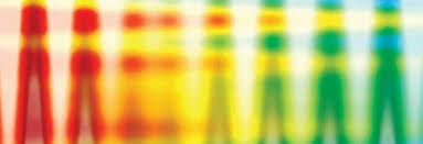 Create your own wearable art with beautiful leaf prints. Digital Textile Printing Fibre2fashion