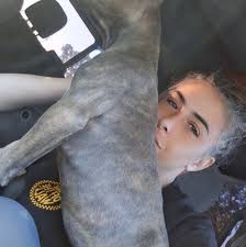 Salty Paws at Willbrook closed temporarily