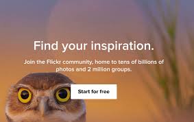 Your files will always be at hand, wherever you are. Top 19 Best Online Photo Storage For Pro And Amateur 2021