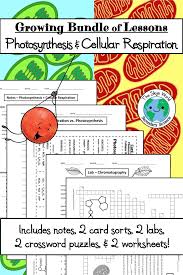 Bundle Of Lessons Photosynthesis And Cellular Respiration Photosynthesis And Cellular Respiration Cellular Respiration Middle School Science Experiments