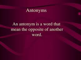 Proverbs and quotations by famous authors. Synonyms Antonyms And Homonyms Ppt Video Online Download