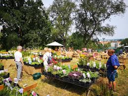 In den letzten jahren haben die so genannten insektenhotels mehr und mehr einzug im wohnen.de magazin beschäftigen wir uns intensiver mit der thematik, geben viele. Stadt Brandenburg Lebensart Messe Fur Garten Wohnen Und Lifestyle In Brandenburg An Der Havel