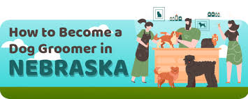 Maybe you would like to learn more about one of these? Dog Grooming License Requirements And Schools In Nebraska