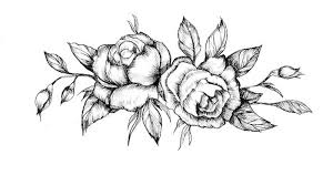 Cómo dibujar un tilpan paso a paso. 1001 Ideas Sobre Como Dibujar Una Rosa Paso A Paso