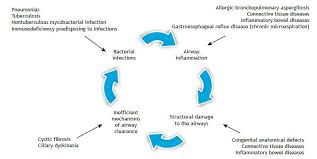 brazilian consensus on non cystic fibrosis bronchiectasis