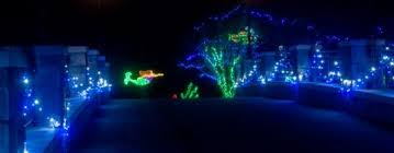 Ocean Scene At Dominon S Garden Of Lights At Norfolk Botanical Garden Dive In Garden Of Lights Ocean Scenes City Lights