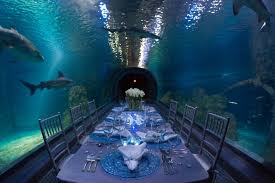 One Of A Kind Events At Adventure Aquarium Camden New Jersey Aquarium Wedding Social Events Event